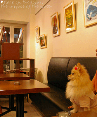 b0075318_23411081.gif