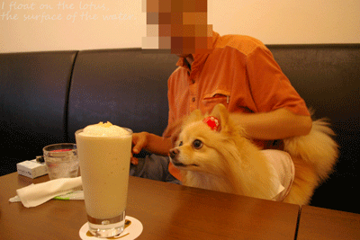 b0075318_23435452.gif