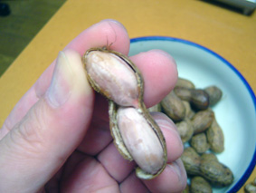 c0135618_05333.jpg