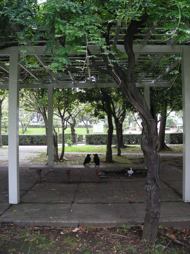 c0149622_22474941.jpg