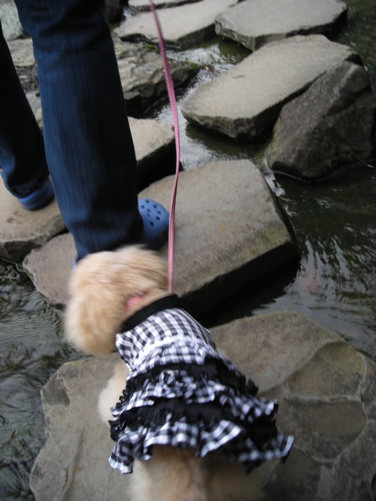 c0149622_22531131.jpg