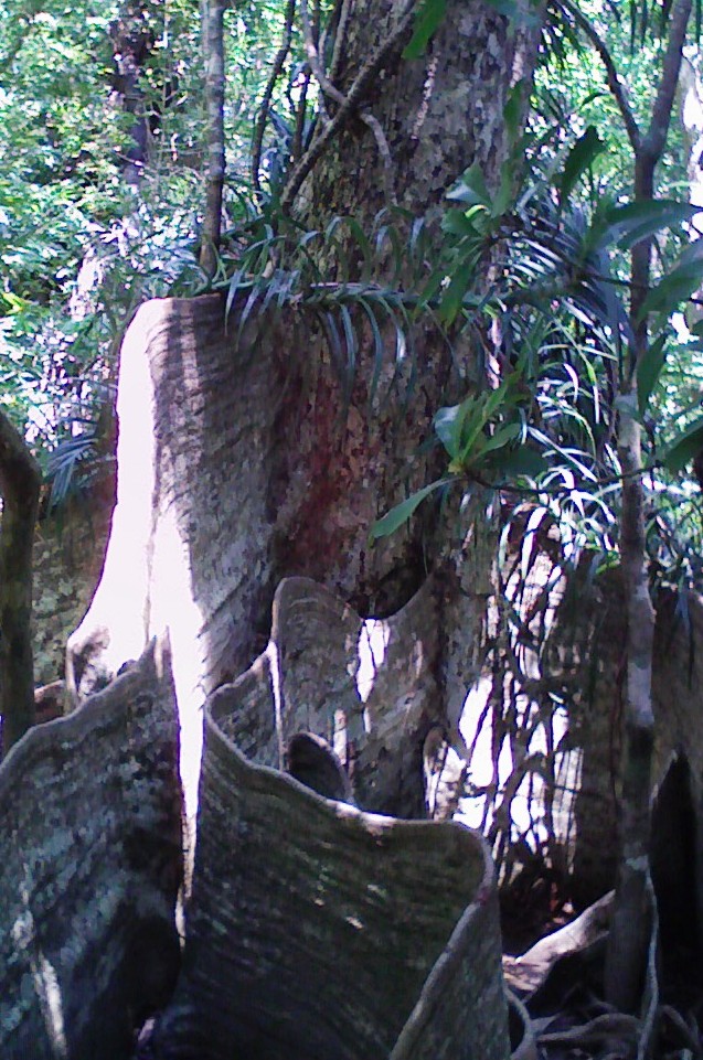 d0023622_12495247.jpg