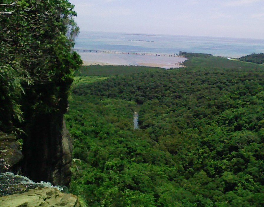 d0023622_12592823.jpg