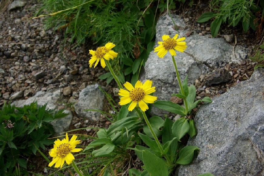 b0062024_821515.jpg
