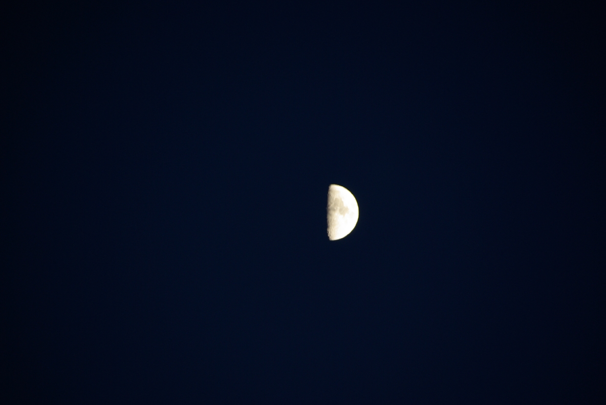 b0062024_8343933.jpg