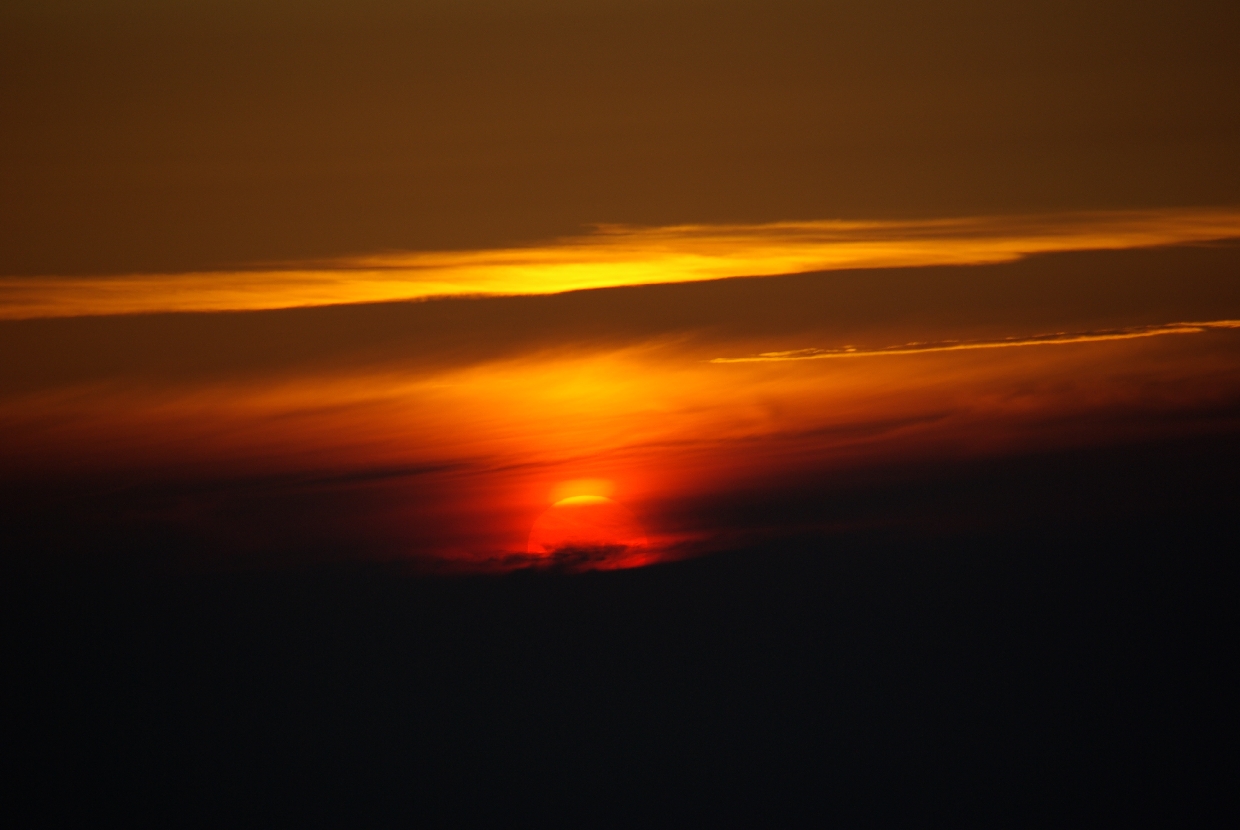 b0062024_834541.jpg