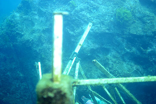 b0044726_9344044.jpg