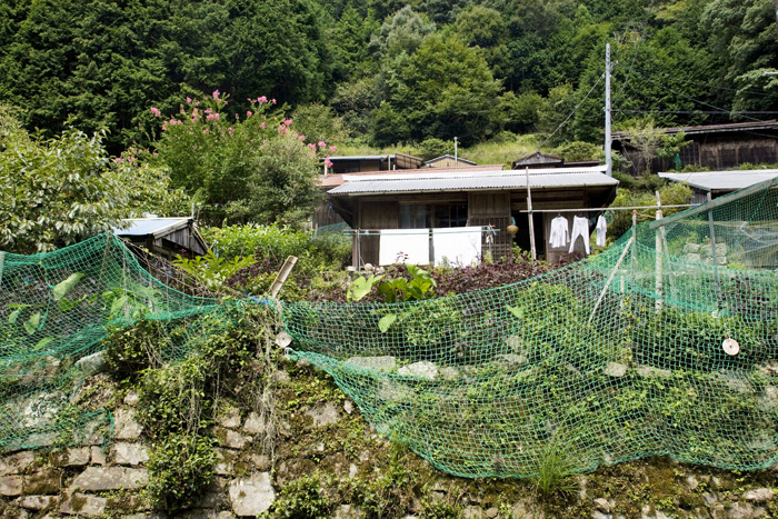 d0147530_6333616.jpg