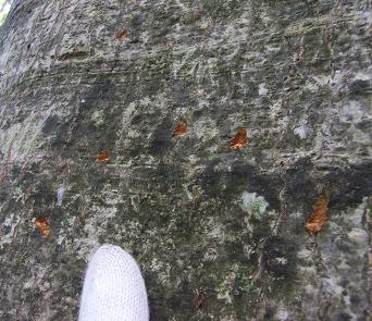 f0118332_017998.jpg