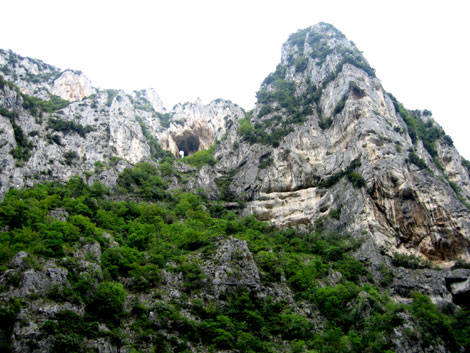 e0129137_29372.jpg