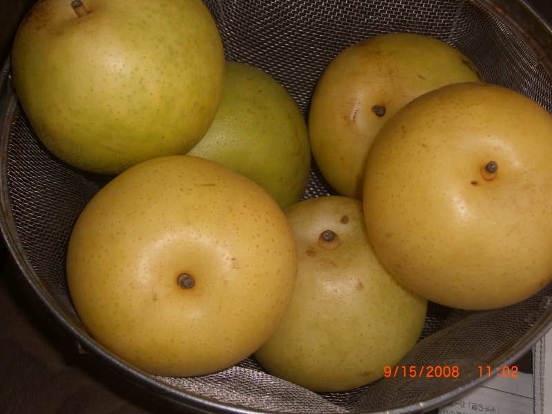 b0029438_10522481.jpg