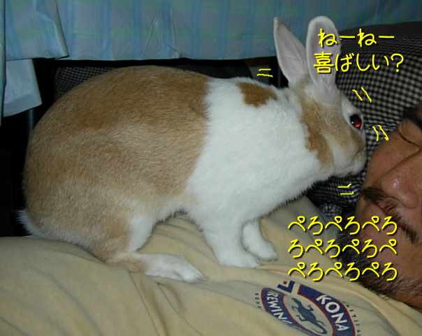 a0095546_0361451.jpg
