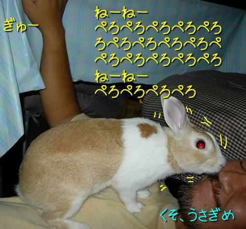 a0095546_039495.jpg