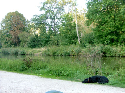 f0181149_22251689.jpg