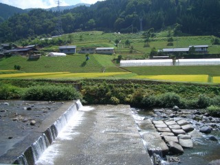 d0146153_2105781.jpg
