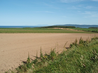 e0004756_21324834.jpg
