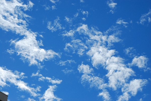e0020166_2111551.jpg