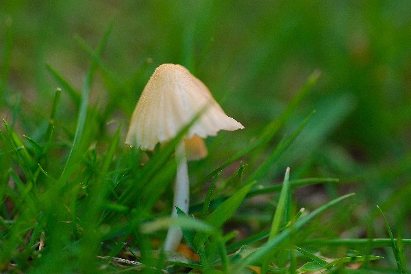e0020166_21135569.jpg