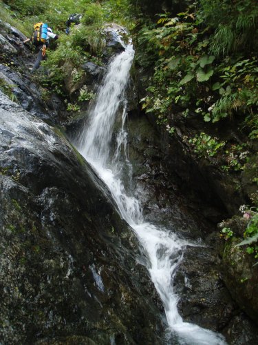 b0050067_921657.jpg