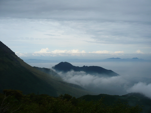 f0050468_0151626.jpg