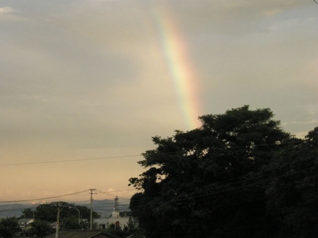 c0042869_2030101.jpg