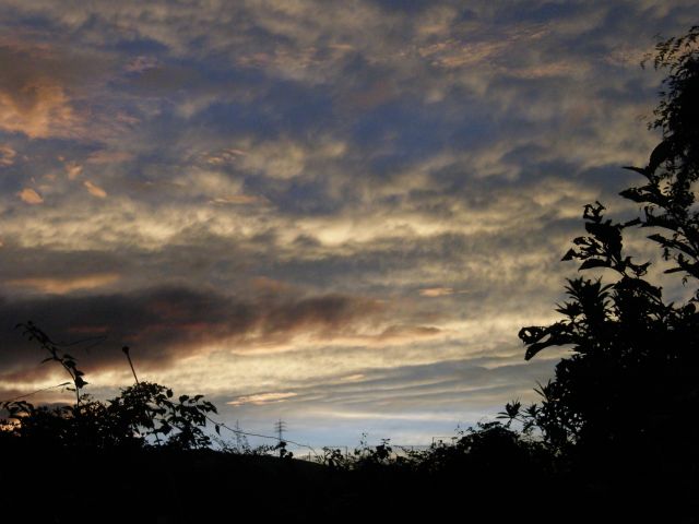 c0042869_20373099.jpg