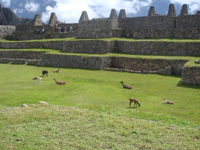 f0160069_20102723.jpg