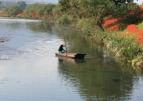 f0181173_21311067.jpg