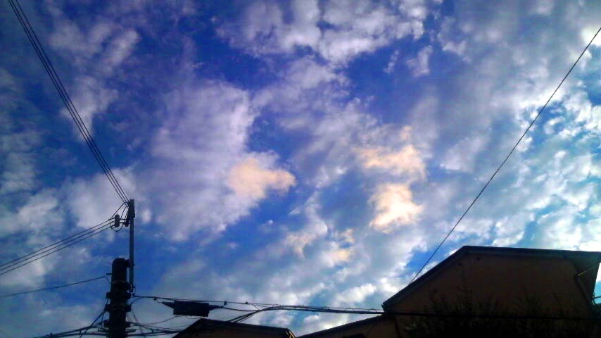 a0066377_028952.jpg