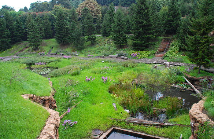 c0009981_0521178.jpg