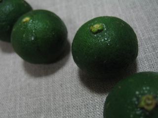 e0132881_3172263.jpg