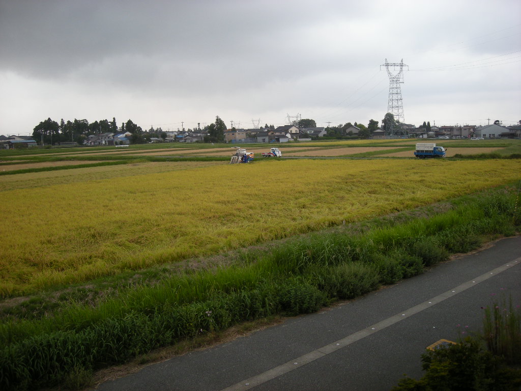e0066883_11373212.jpg