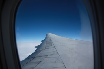 f0188883_2325752.jpg