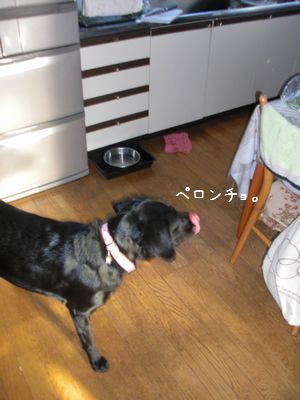 b0000885_21213217.jpg