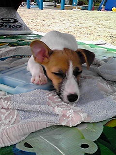 f0175585_0314253.jpg