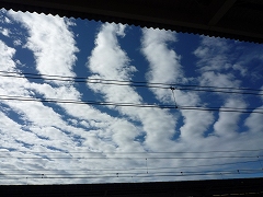 c0160488_20533082.jpg