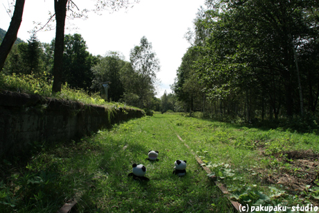 e0015195_0351162.jpg