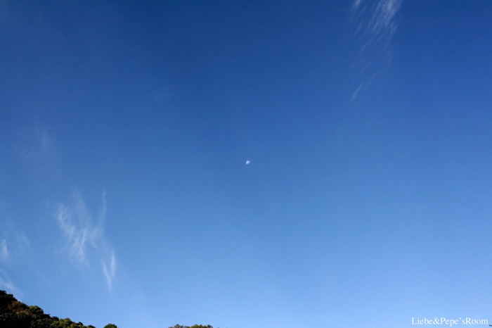 f0001895_17395830.jpg