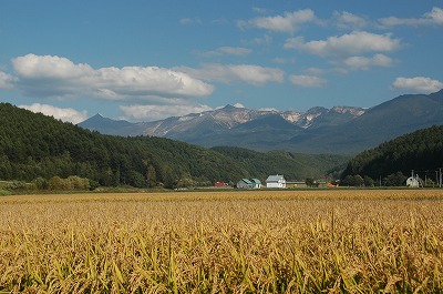 f0157901_20211976.jpg
