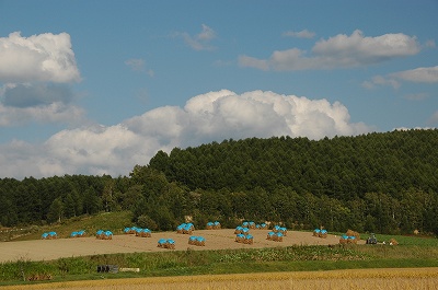 f0157901_20213435.jpg