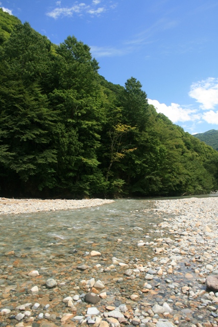 e0060302_23481871.jpg