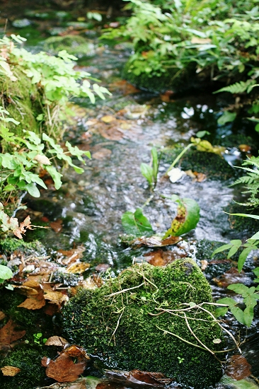 d0112003_2003138.jpg