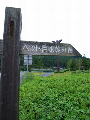 e0145805_2201522.jpg
