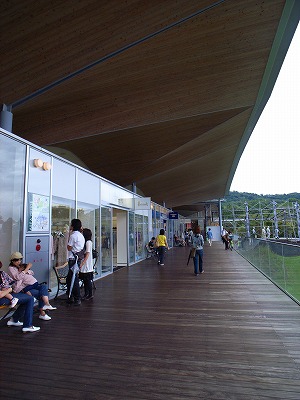e0145805_2210032.jpg