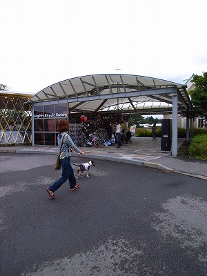 e0145805_22102141.jpg