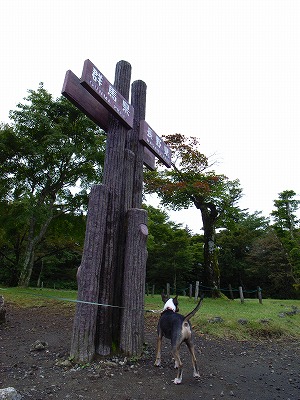 e0145805_2233814.jpg