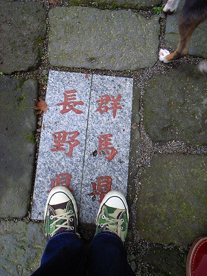 e0145805_226062.jpg