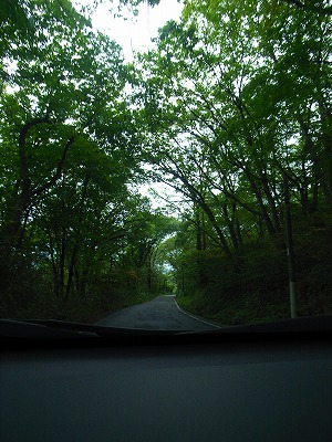e0145805_2262460.jpg