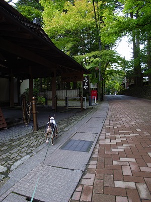e0145805_2265846.jpg