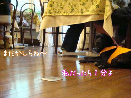 f0064906_16232111.jpg